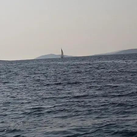 Spansa * Veliki Drvenik